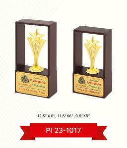 Promotional Trophy Printing Service