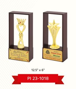 Promotional Trophy Printing Service