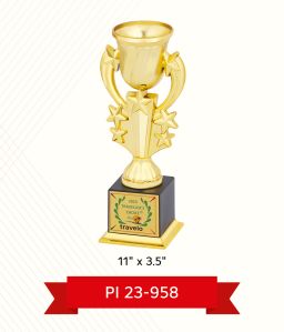 Promotional Trophy Printing Service