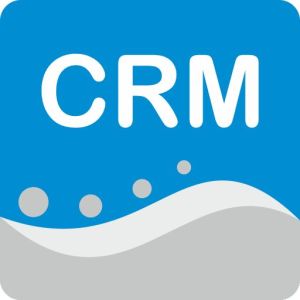 crm development services