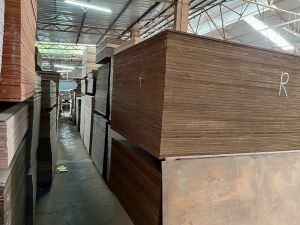 Bwr Plywood