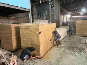 Mr Grade Plywood