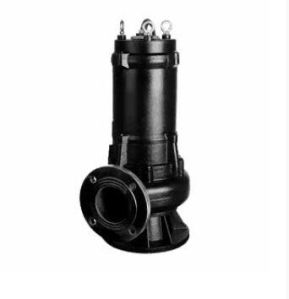 Sewage Pump