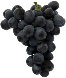 A Grade Black Fantasy Seedless Grapes