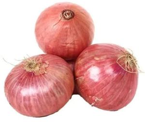 Fresh Pink Onion