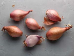 Fresh Shallot Onion