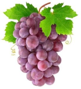 purple grapes