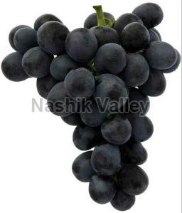 A Grade Black Fantasy Seedless Grapes