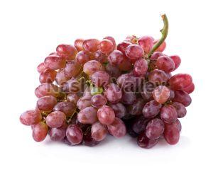 A Grade Crimson Seedless Grapes