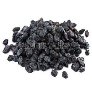 Round Black Raisins