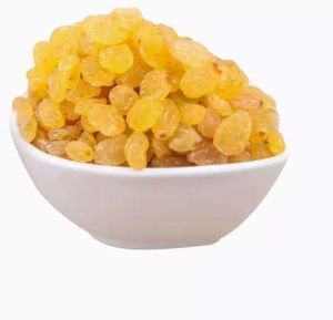 Yellow Round Raisins