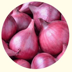 Fresh Red Onion