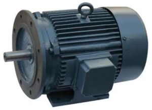 Flange Mounted Motor