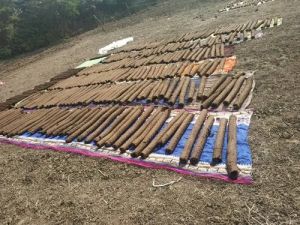 Cow Dung Wood