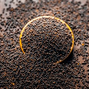 Mustard Seeds