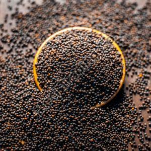 Mustard Seeds