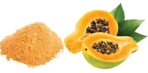 Papaya Powder