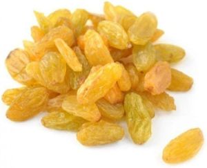 Yellow Raisins