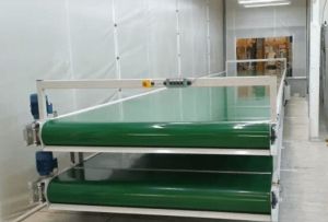 Flat Belt Conveyor