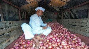 Red Onion