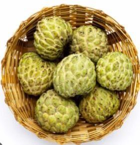 Custard Apple