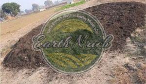 Vermicompost Fertilizer
