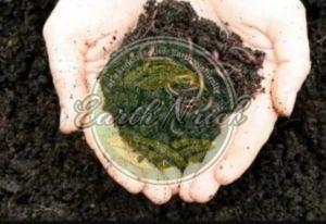 Vermicompost Fertilizer