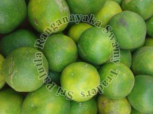 Fresh Natural Sweet Lime