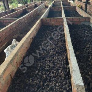 Vermicompost Fertilizer