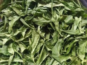 Dried Neem Leaves