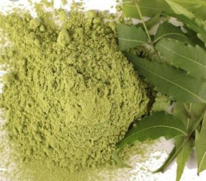 Dry Neem Leaf Powder