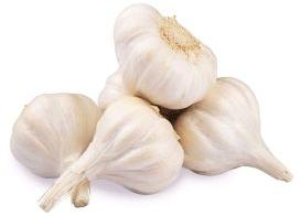 fresh garlic
