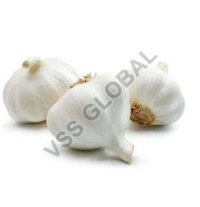 Organic Garlic