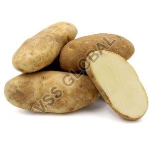 Santana Potato