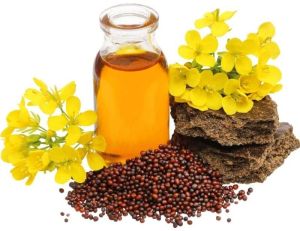 Mustard Oil