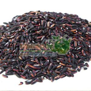 Black Rice