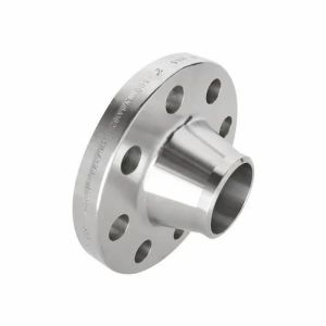 Stainless Steel Welding Neck Flanges