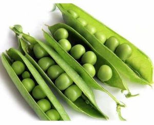 Fresh Green Peas