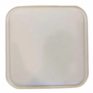 10 Inch Disposable Square Paper Plate
