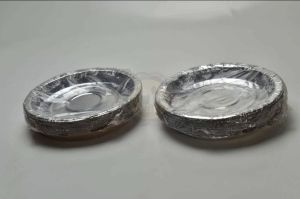 Disposable Sliver Paper Plates