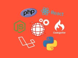 Custom Web Application Development Services