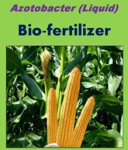 Azatobacter Bio Fertilizer
