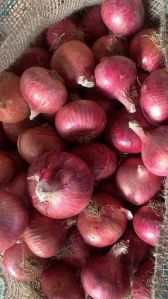 Red Onion