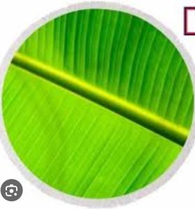 Banana Leaf