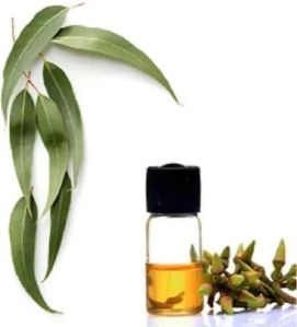 Eucalyptus Oil