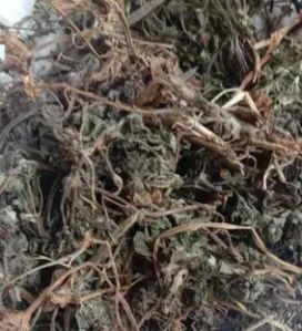 Bhringraj Herb Roots