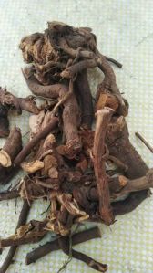 Dried Chitrak Roots