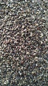 Dry Shivlingi Seeds