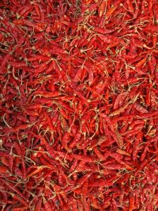 Dry Red Chilli