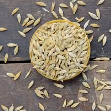 Barley Seeds